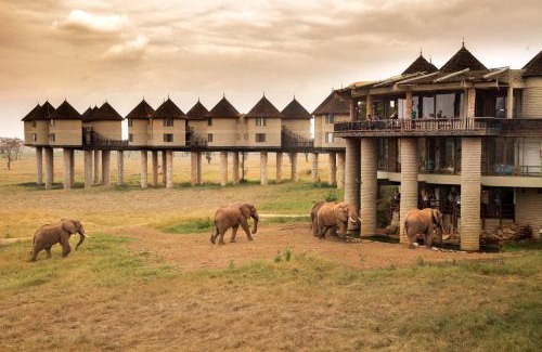 Murka Cabin | Salt Lick Safari Lodge