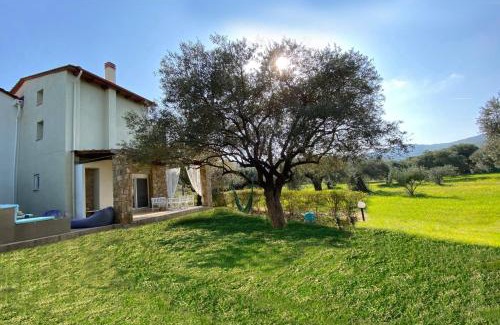 Sithonia Villa | Salty Olive Villa, Akti Salonikiou #FeelsLikeHome