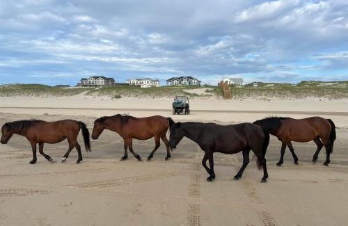 Carova Beach House | Salty Shenanigans