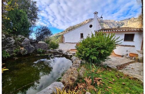 Castril House | Saluda Alta