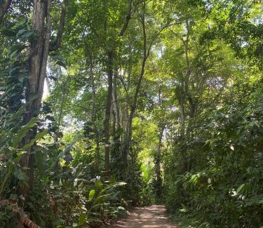 Guachaca Hotel | Salvia Madre Hotel Boutique