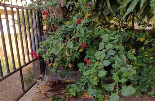 Wai House | Samartha Krupa Homestay