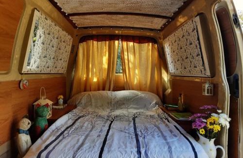 Chiang Dao Other | Samatha Camper
