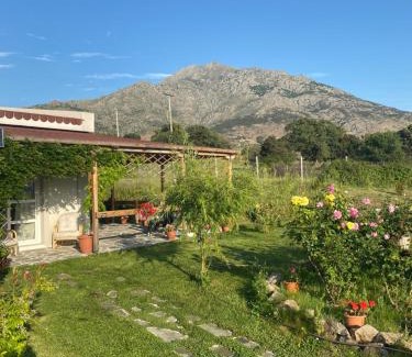 Samothrace House | Samothraki - sea, mountain, quiet
