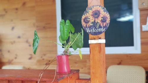 Sam Roi Yot Ski Chalet | Samroiyod Nature and Art Retreat