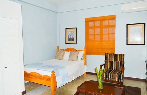 Kingstown Apartment | Samuels apartment #3