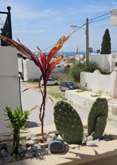 Tunisia Apartment | Samy's Luxury Apartments
