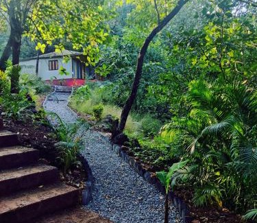 Cola Hotel | Samyama Retreat