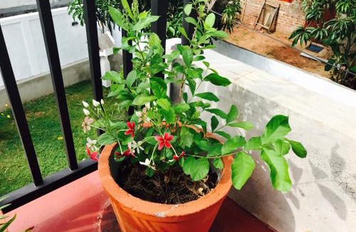Anuradhapura House | Sanasuma Rest