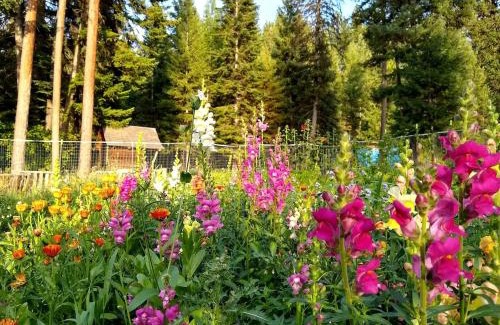 Alberton House | Sanctuary Farm Log Cabin Mountain Getaway, Alberton, MT