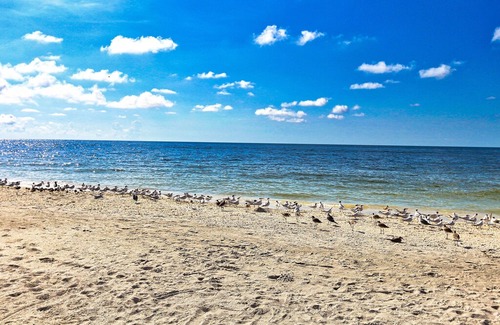 Sanibel Condo | Sand Pointe 218 in Sanibel island