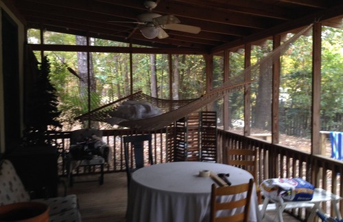 Dadeville Cabin | Sandy Beach Only 25 Minutes From Auburn