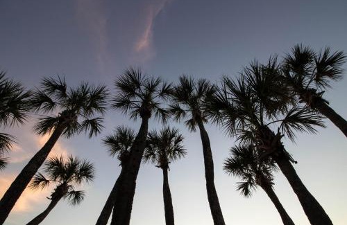 Anna Maria House | Sandy's Getaway