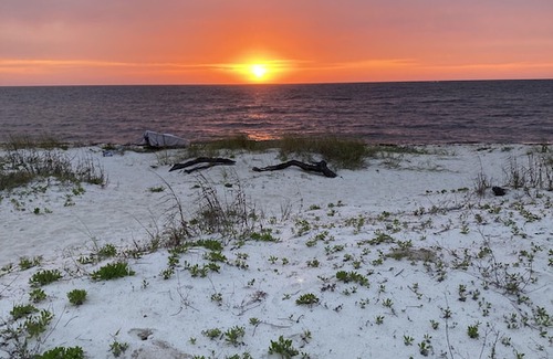 Alligator Point House | Sandy Toes in Alligator Point - Cottage Retreat only steps from the beach!