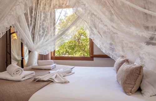 Old Town Apartment | Santa Elena Boutique Rooms