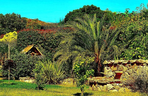 Santa Giulia House | SANTA-GIULIA & CHARMING VILLA & PRIVATE POOL