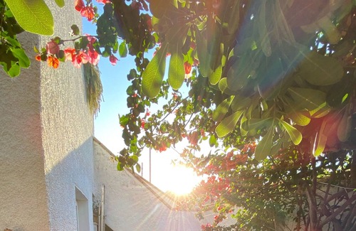 Porto Pozzo Villa | Santa Teresa Gallura: Villa 250 meters from the sea up to 8 beds Port Pozzo