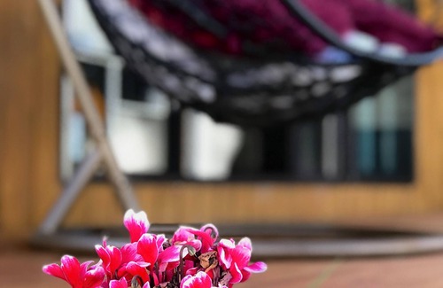 Penrose Apartment | Santos Tiny House: Cozy Retreat under Auckland's Stars!