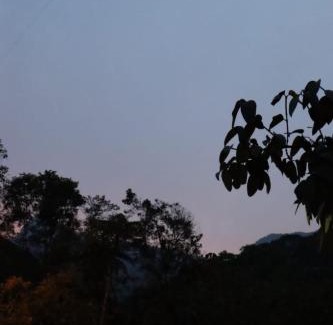 Pance Other | Sapiens house "cabaña del Río"