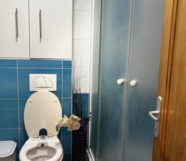 Ilidza Apartment | Sarajevo Apartment