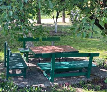 Sarajevo Apartment | Sarajevo Apartment Green Oasis - free parking, fruit garden, gratis fruit, bbq, capacity max 4 people