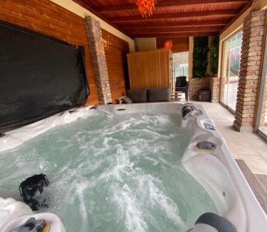 Binjezevo Apartment | Sarajevo Deluxe penthouse and pool