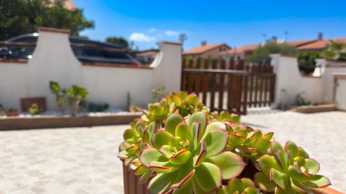 Putzu Idu Apartment | Sardinianworld - Casa S'Architteddu