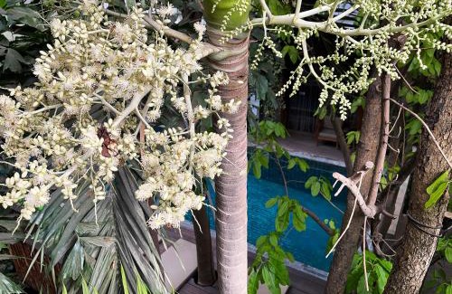 Sen Sok Hotel | Sarina Boutique Hotel