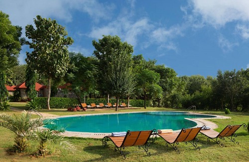 Thana Gazi Hotel | Sariska Tiger Heaven