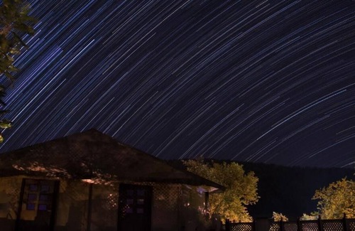 Thana Gazi Hotel | Sariska Tiger Heaven