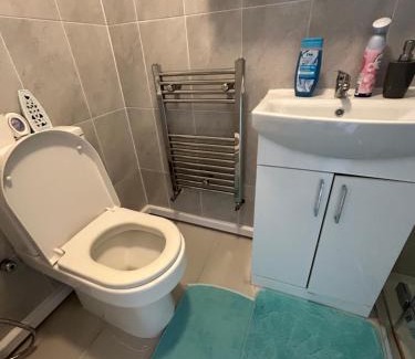 Havering Apartment | Sariyu space studio flat with own bathroom and Kichen