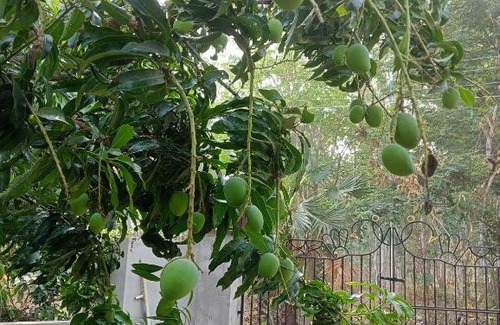 Bolpur House | SARTHAK HOME STAY