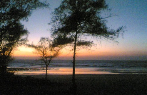 Murud Bed & Breakfast | Sarve Huts