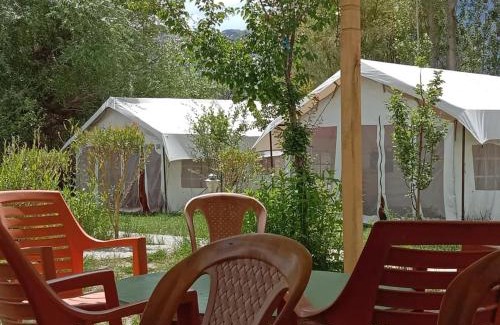 Nubra Valley Other | Saser Camp