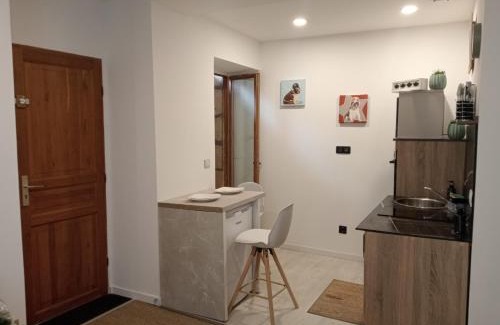 Brive-la-Gaillarde Apartment | Sasha
