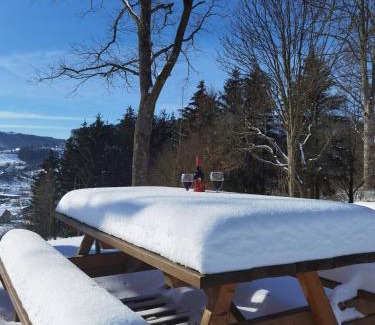 Hallenberg Apartment | Sauerland Alm Winterberg 5