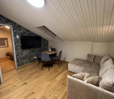 Klaipeda Apartment | Saules apartment Klaipeda