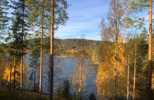 Koli National Park Apartment | Saunaharju 5 järven rannalla
