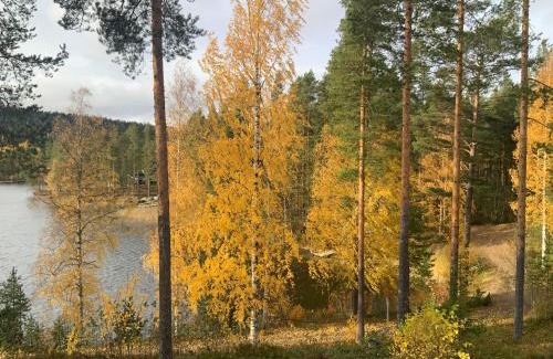 Koli National Park Apartment | Saunaharju 5 järven rannalla