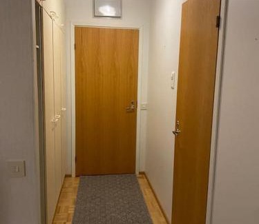 Pieksamaki Apartment | Saunallinen yksiö keskustassa