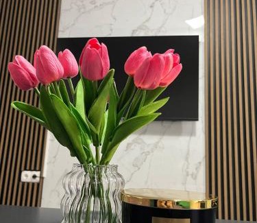 Brcko Apartment | Sava Lux