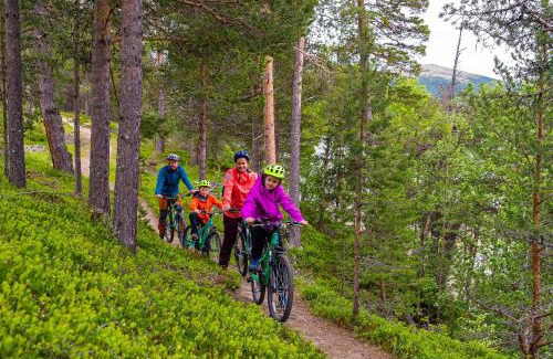 Tynset Hotel | Savalen Fjellhotell & Spa