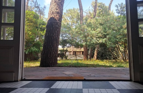 Mimizan House | SAVANNAH - The pine house