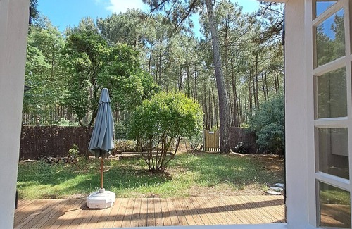 Mimizan House | SAVANNAH - The pine house