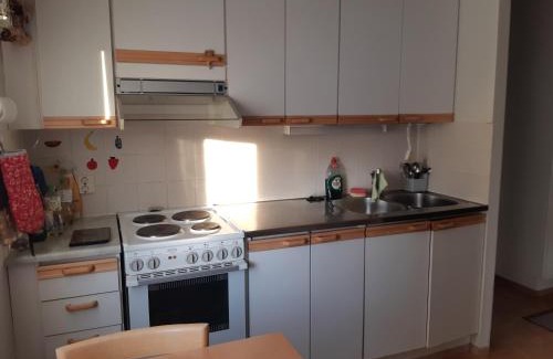 Savonlinna Apartment | Savonlinnan keskusta