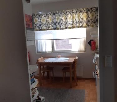 Savonlinna Apartment | Savonlinnan keskusta