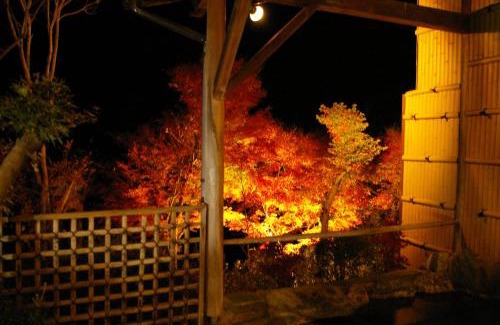 Nakanojo Hotel | Sawatari Onsen Miyataya Ryokan