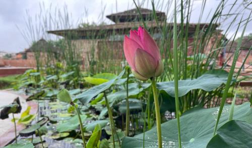 Jodhpur Resort | Sawitri Ayurveda