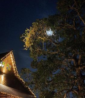 Central Seberang Perai House | Sayang Di Kaki Bukit