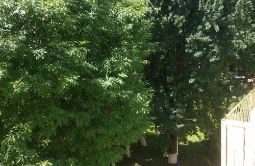 Tashkent Apartment | Sayram apartment